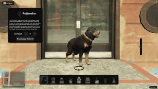 FiveM Pet System screenshot 3