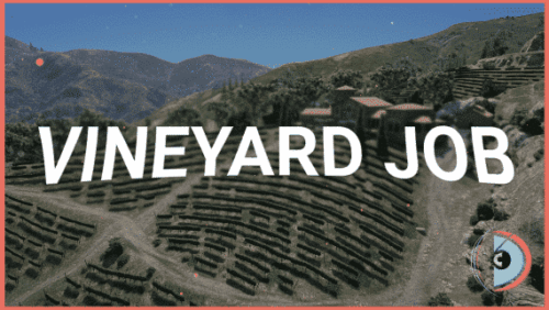 Vineyard Job Winemaking